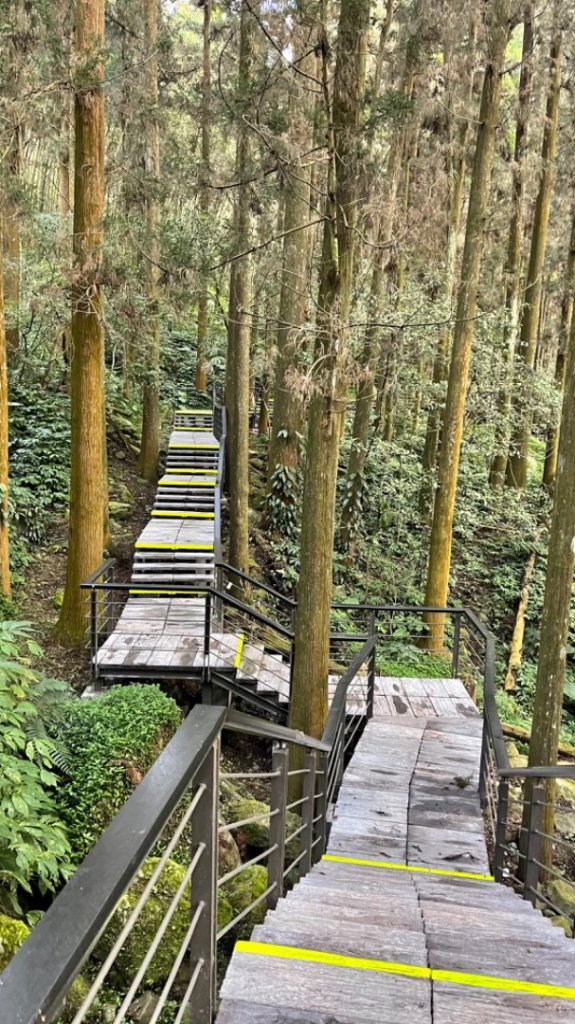 20220215 [奮瑞古道] + [瑞太古道] -摩天嶺_光崙山_雲載山_1613521