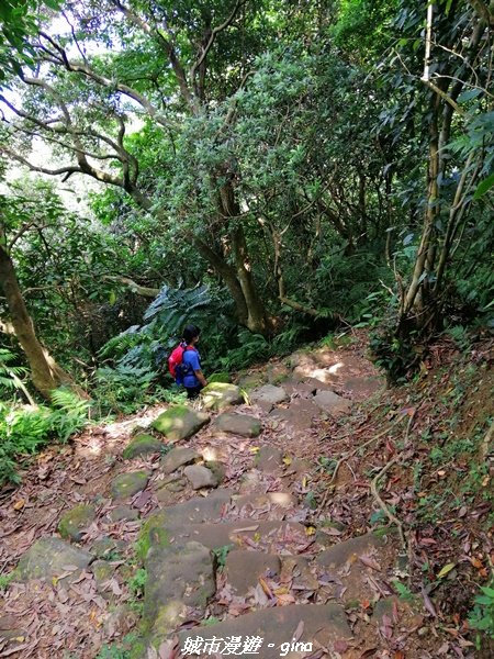 【新北。土城】景色開闊。 小百岳集起來。 編號18小百岳~天上山步道_1487743