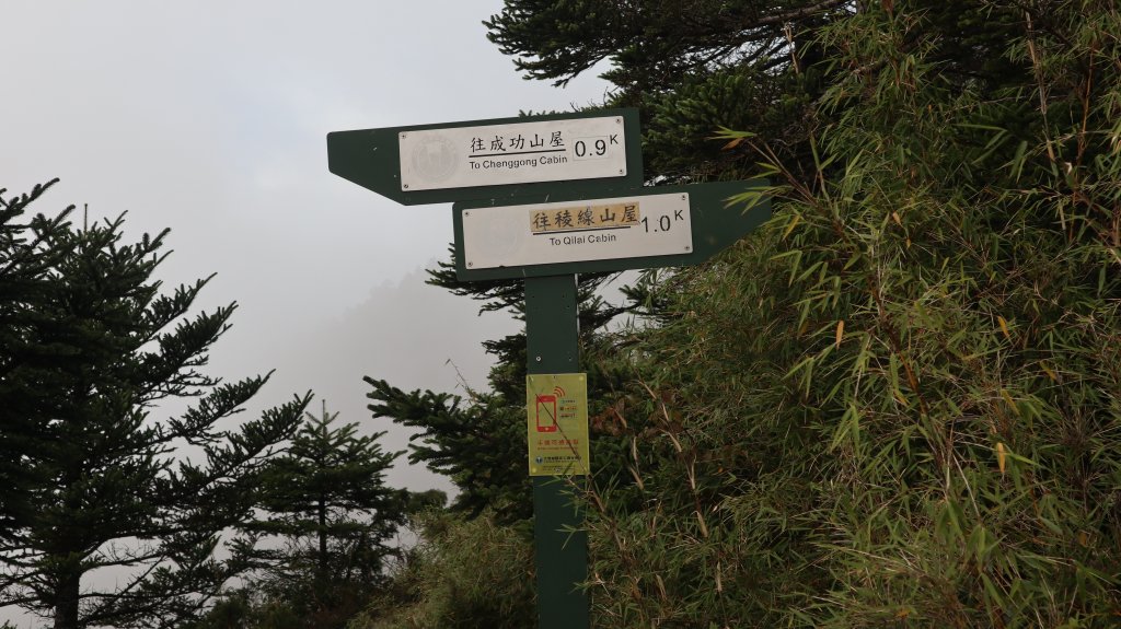 奇萊主山登山健行趣(百岳20號)_2290034