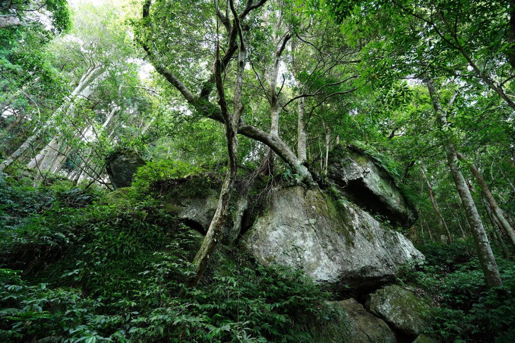新竹 五峰 油羅山、霞山_2798235