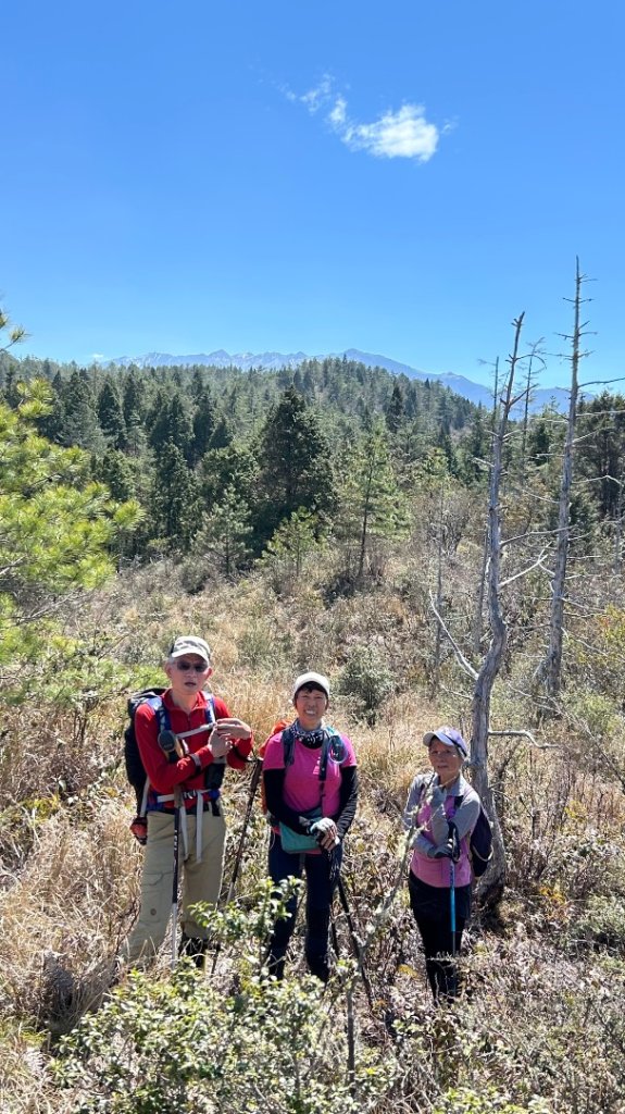 大同加羅湖穆魯洛亞滬庫霞四季警備道_2748261