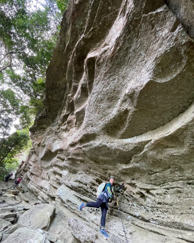 三峽-金敏子山-詩朗山-塞口坑山-內金敏子山四山O型封面圖