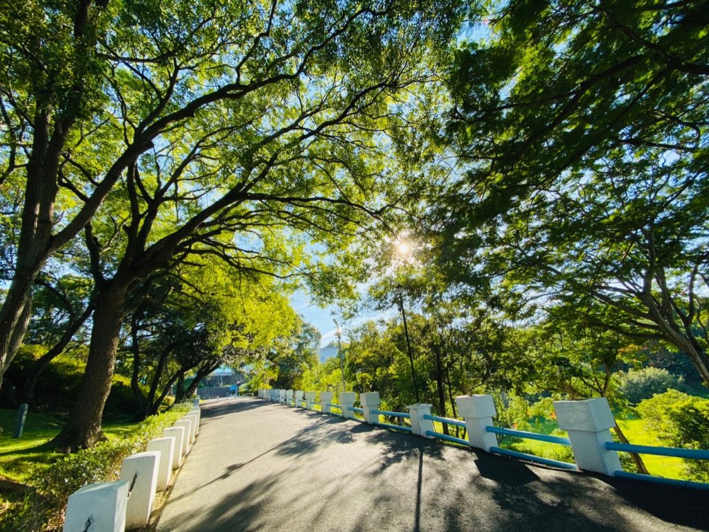 1090719臺南鎮南宮後山步道_1036858