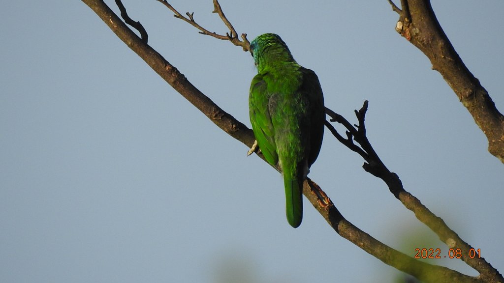 山中何所有，嶺上多白雲。只可自怡悅，不堪持贈君。_1787132
