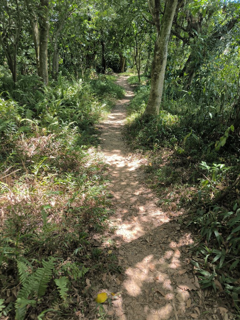 20240923微笑山線：【天上山系】烘爐地土地公段_2892448