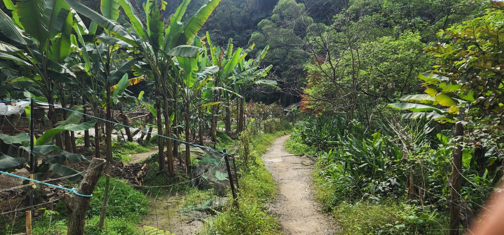 2026_01_18_探索你的後花園@土城_2985034