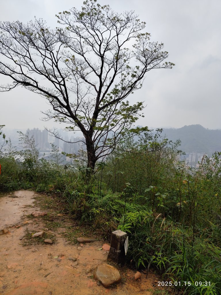 2-1 捷運新店站→碧潭吊橋→和美山登山步道(綠線親山步道)→碧潭吊橋_2690726