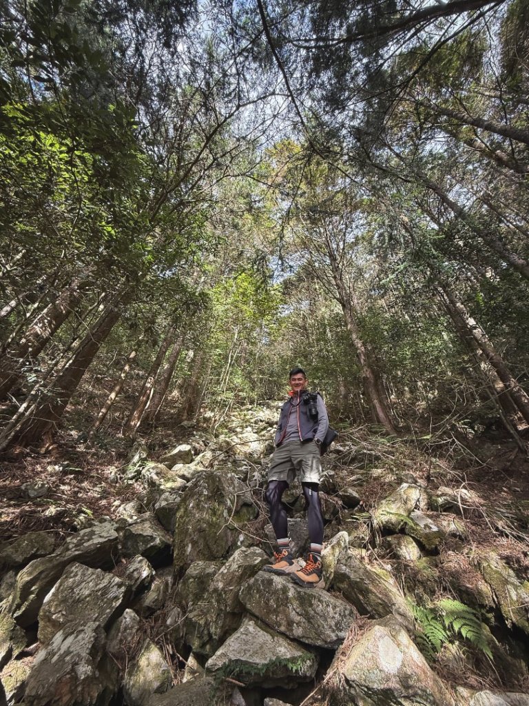 鳶嘴稍來步道賞楓季 ，大雪山門票優惠到12/31！_2969543