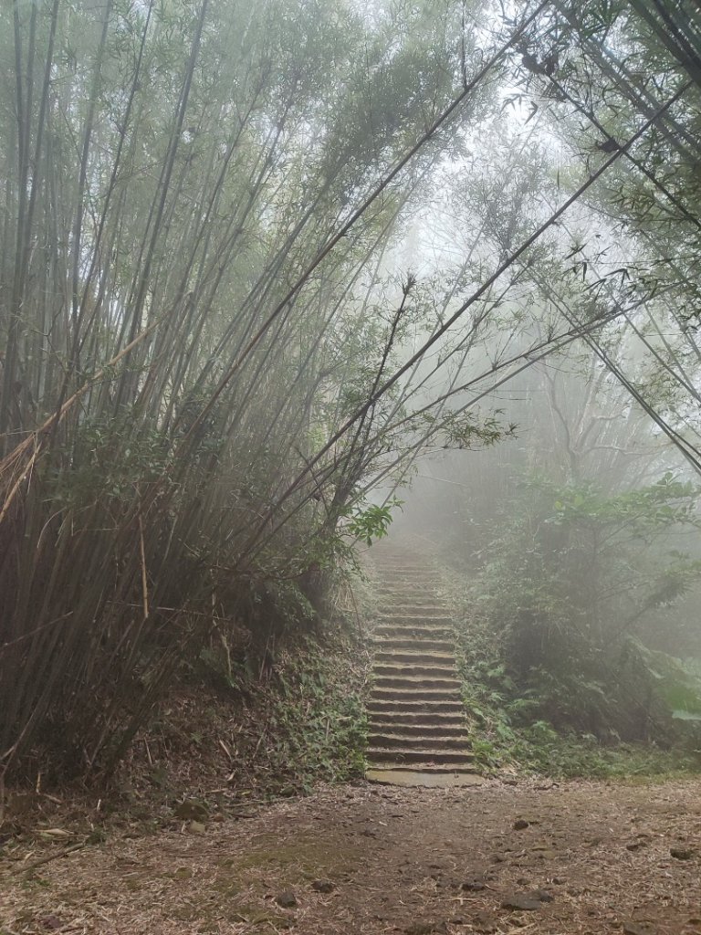 九讚頭車站-大崎棟.茶亭.逃學.騎龍古道20幾K繞大O_2972511