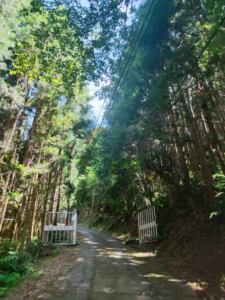 民都有山_2844985