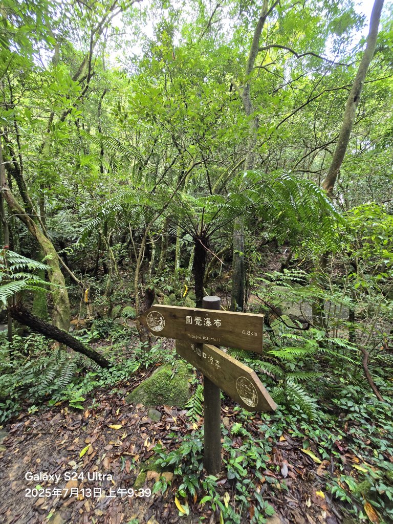 2025-07-13臺北大縱走第四段：風櫃口至中華科技大學_2835986