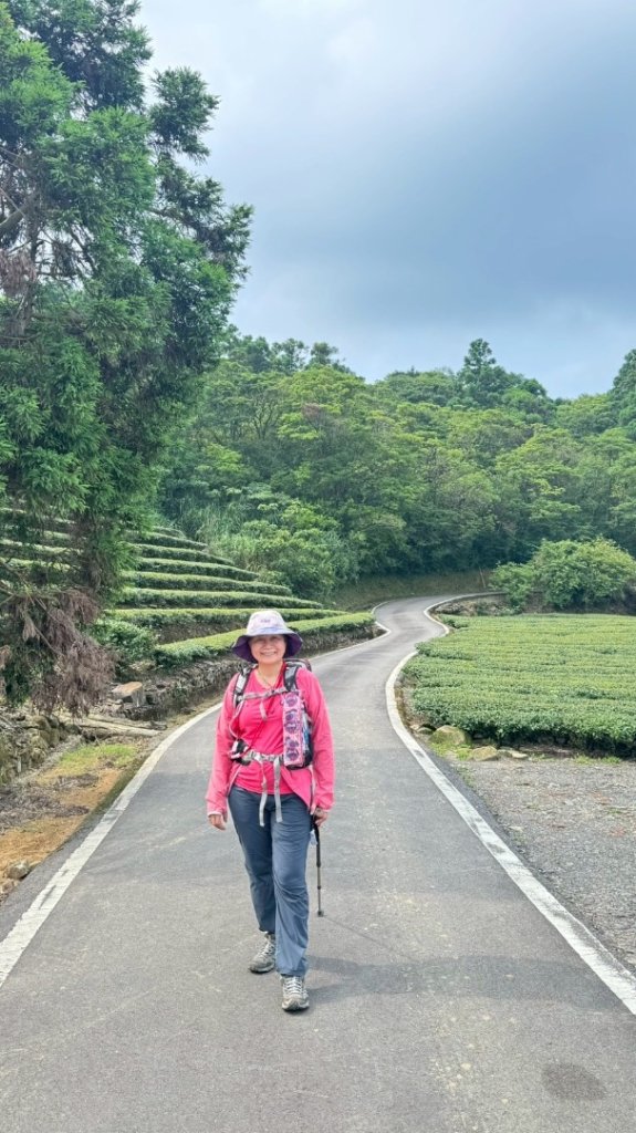 南勢坑山、鑽石峰、人面頭山、獅公髻尾山O走_2809838