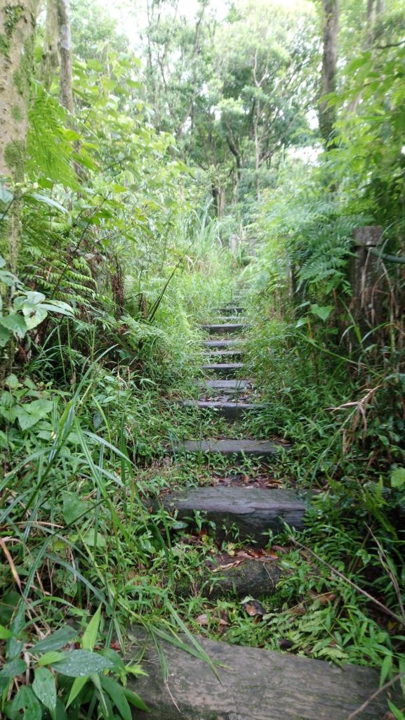 【7/1】獅仔頭山_361312