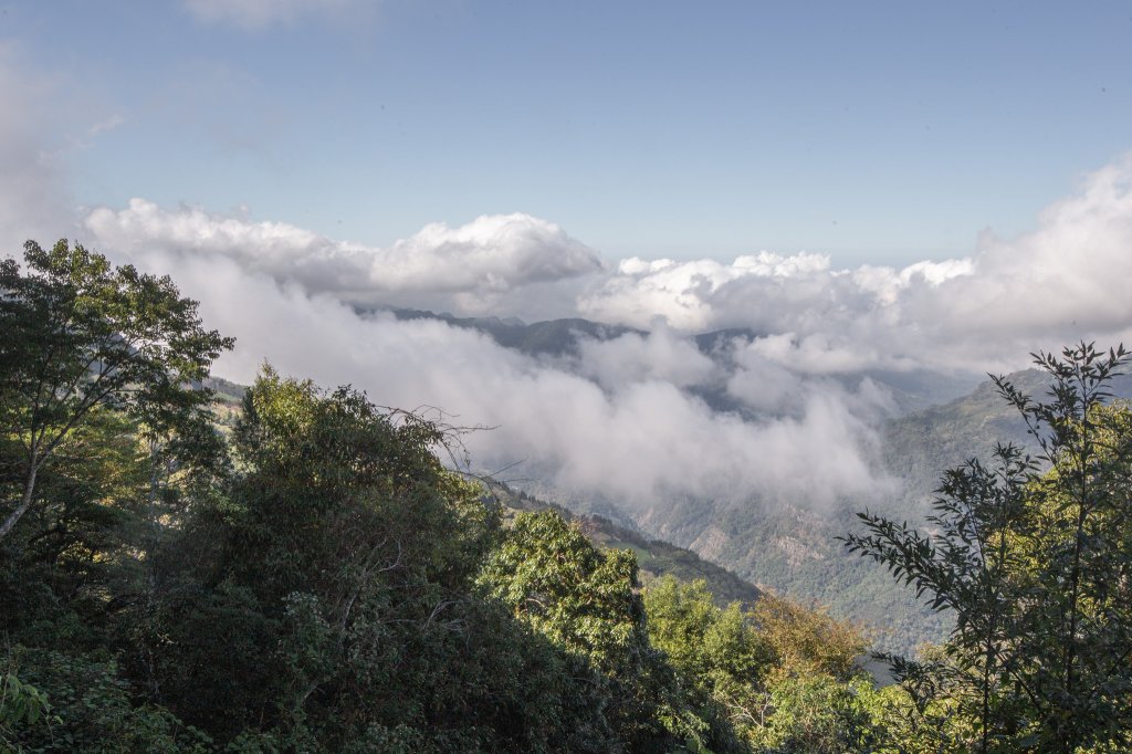 復興三尖之夫婦山 & 雪霧鬧部落_1921687