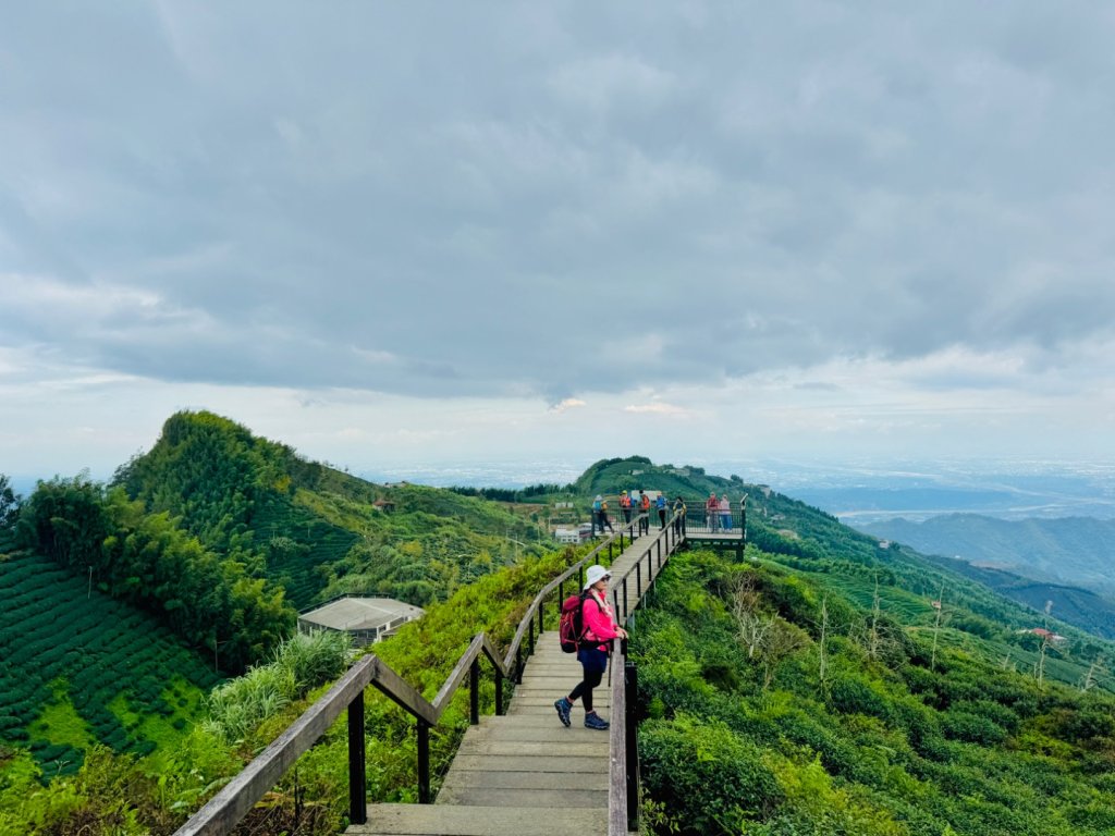 大崙山茶區山頭/民眾坪山 貓冬望山 大崙頭山 樟空倫山封面圖