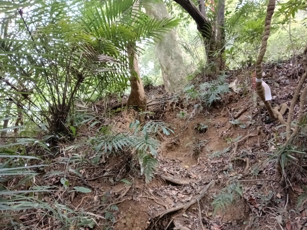 寶山鄉寶山水庫(寶山東峰+中峰+中西峰+西峰+西北峰)+尖山O型_3012583