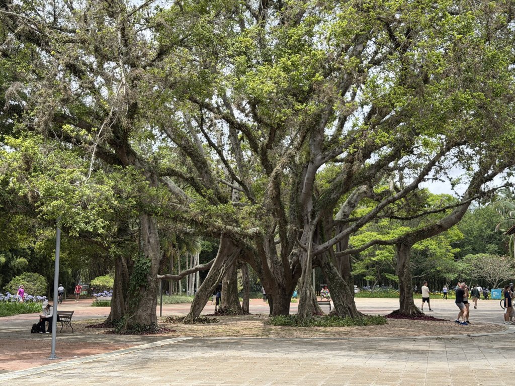 [紐約馬之行-69] 2025_1116 伊比拉布埃拉公園-下_2955229