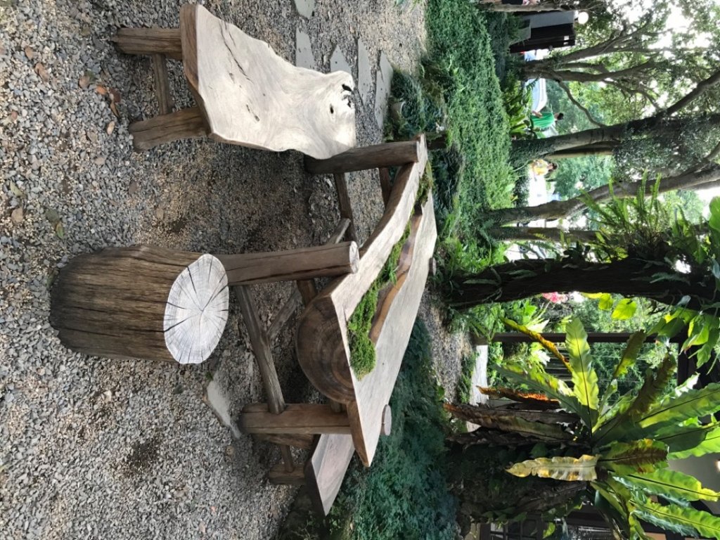 #梅根行走記趣_天母古道_1027818