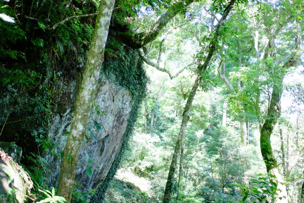 五峰天際線10-4/5  鵝公髻山_1029725