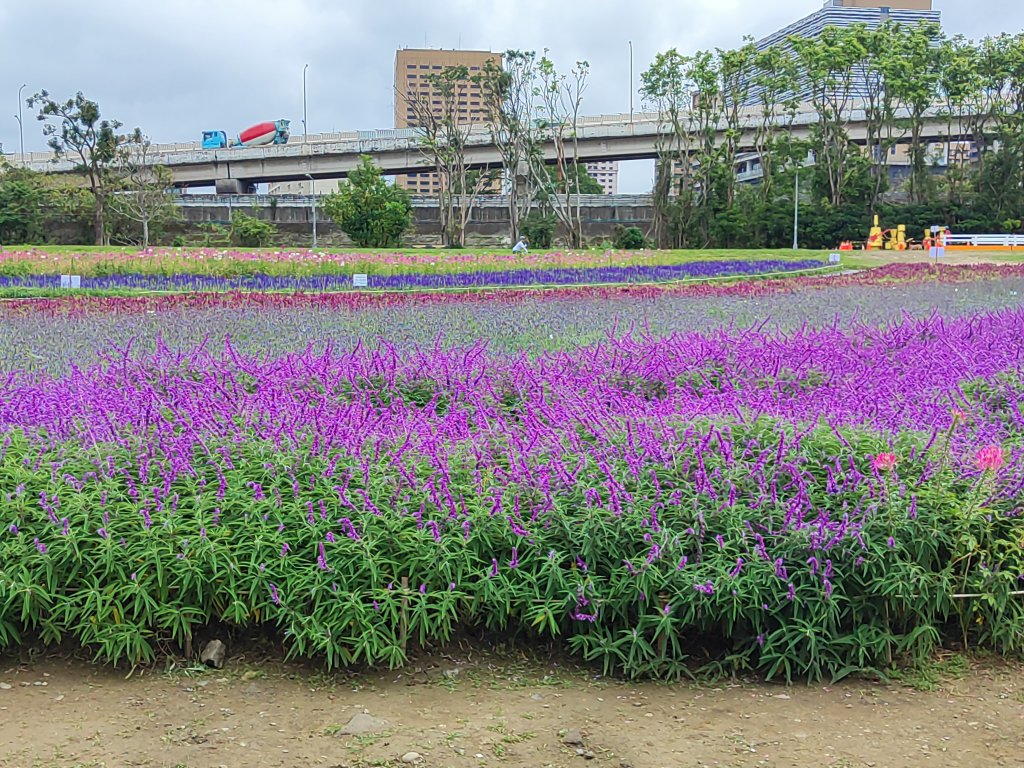臺北大縱走第七段&第八段封面圖