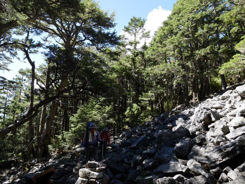 武陵四秀之池有山_1863620