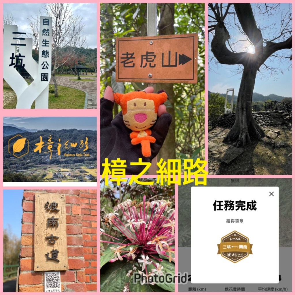 樟之細路-尋寶💎任務1-5封面圖