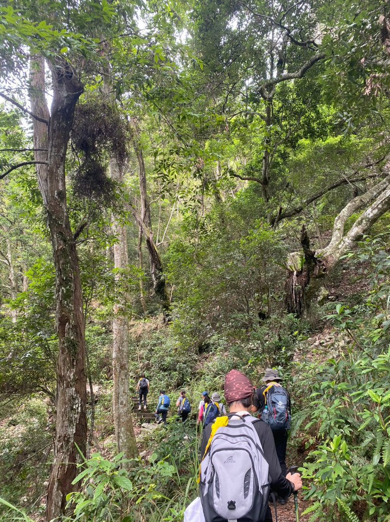 谷關七雄老大 八仙山_2189701