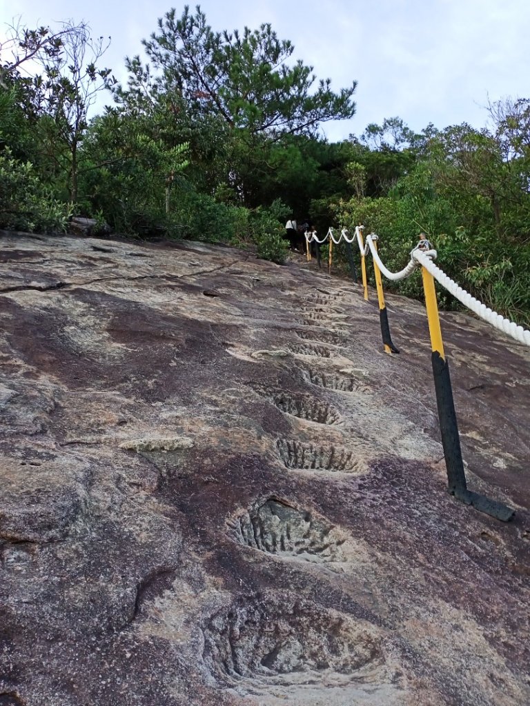 【台北-臺灣百大必訪步道】金面山親山步道_1104336
