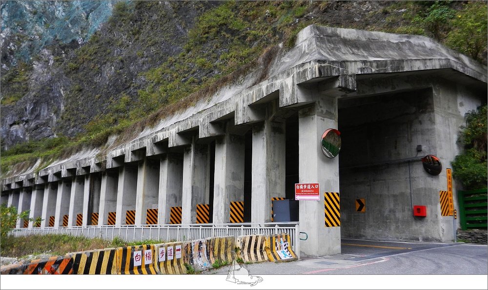 登山健行│花蓮秀林，白楊步道_956470