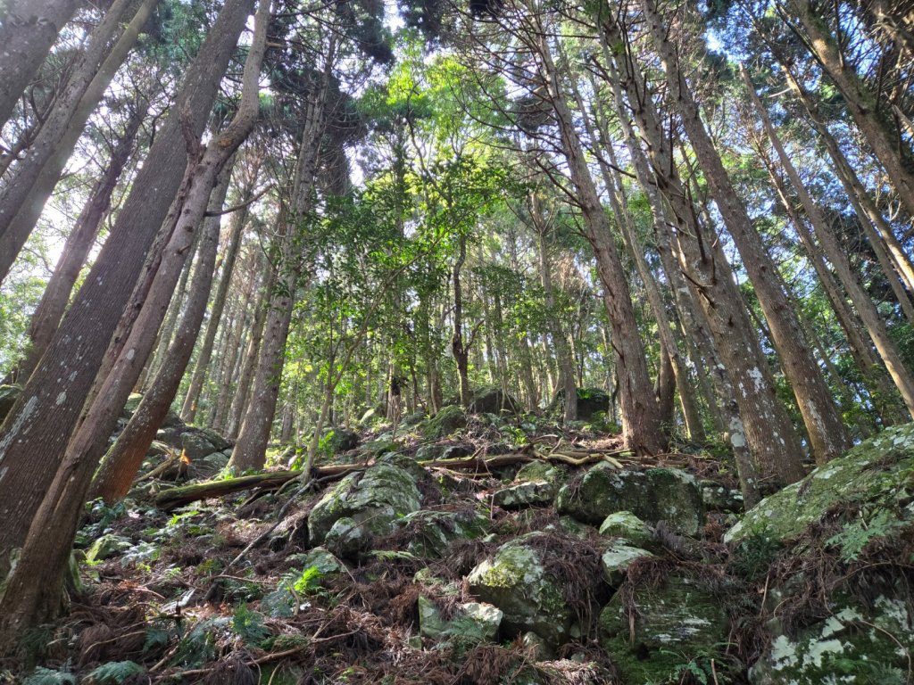 哈堪尼山_2761942