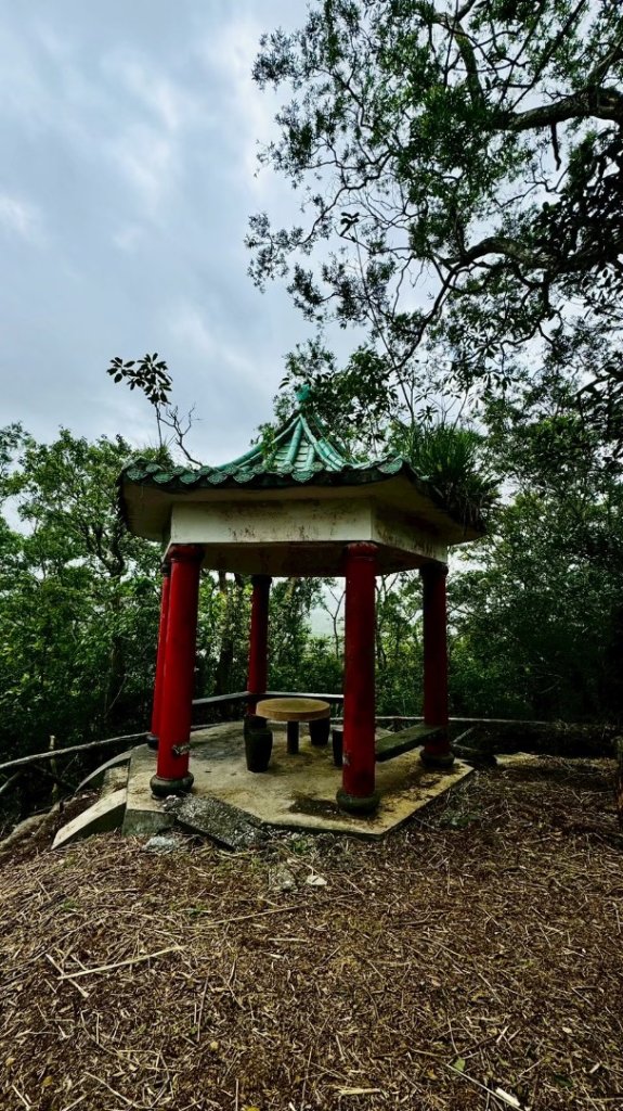 嶺頭觀日步道，西九分坑山O走_2809667