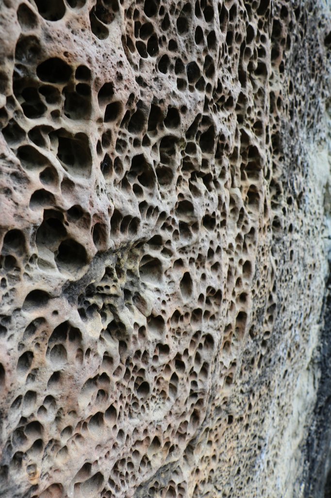 雲林古坑~盤踞岩壁的青蛙石。草嶺青蛙石_1025873