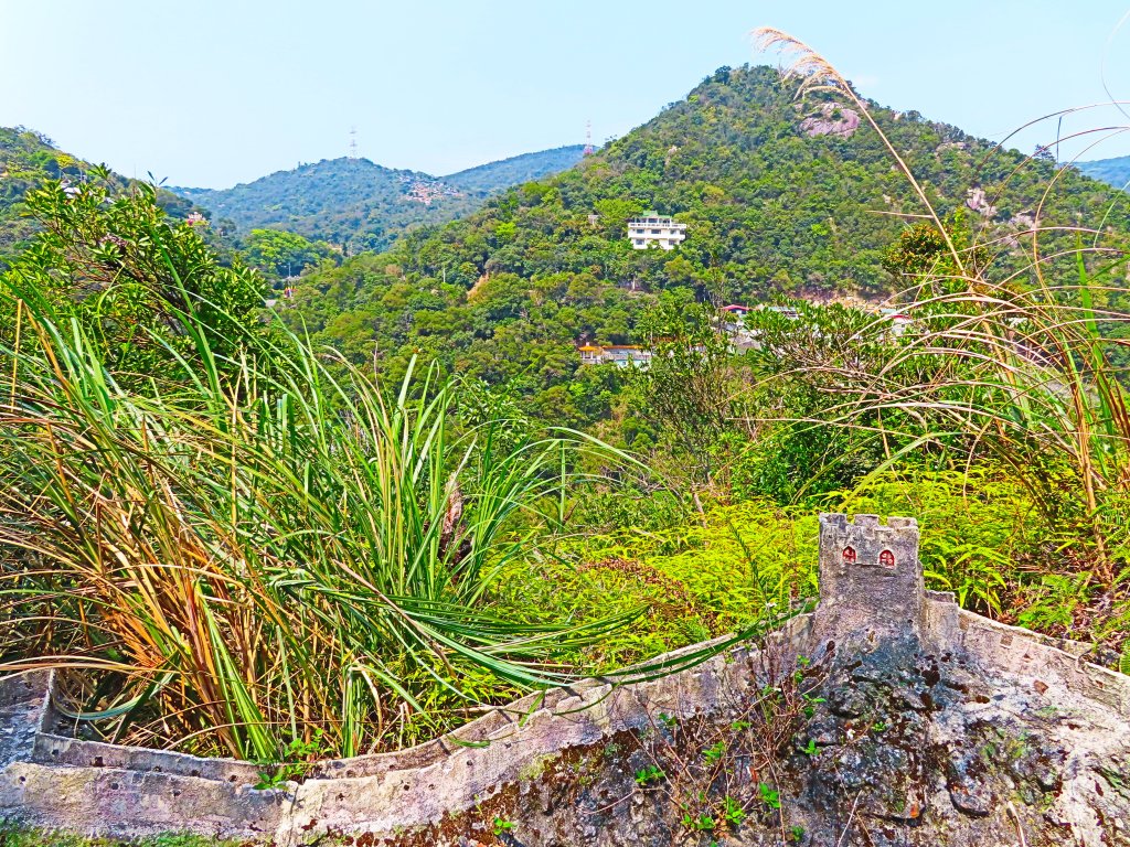 跟著花開去旅行：碧山巖櫻花及大溝溪花海_870215