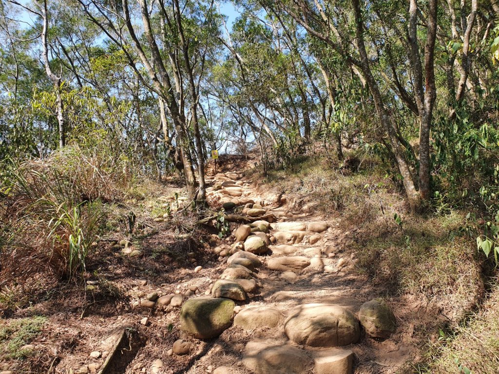 火炎山（小百岳）_1116357