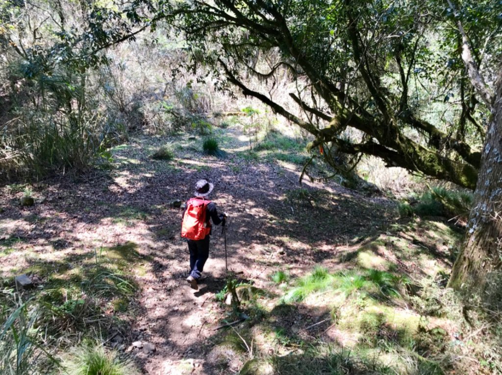 石山 石山引水道_551409