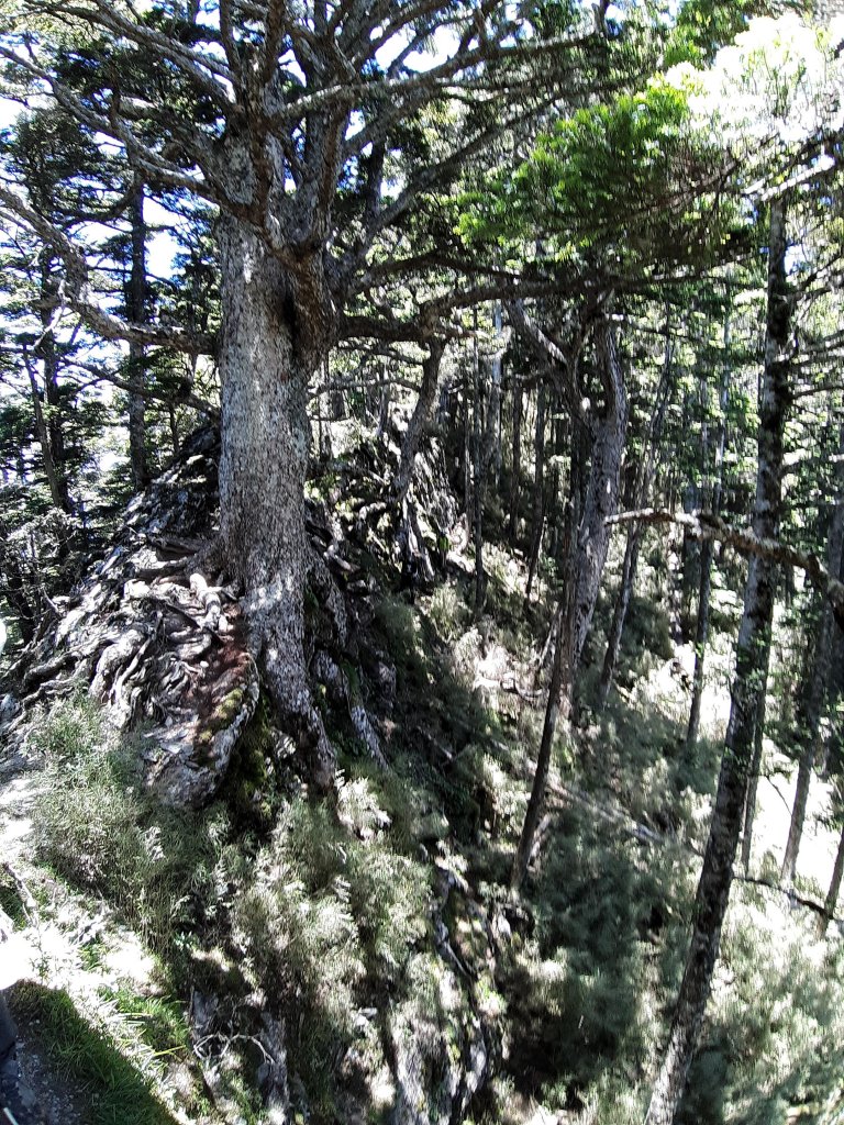 畢祿羊頭單攻之旅._636885