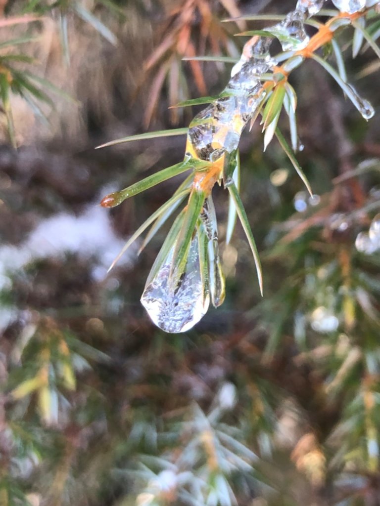 20200130南華光被八表行_820899