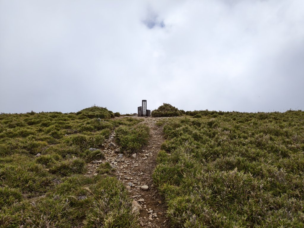 北一段(10/14)馬比杉山 2025_0906~13_2887141