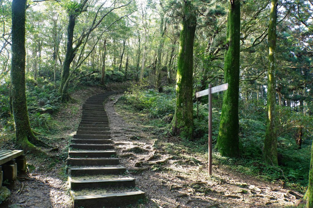 桃園-三峽 志繼山、東眼山、拉卡山、卡外山_3005185