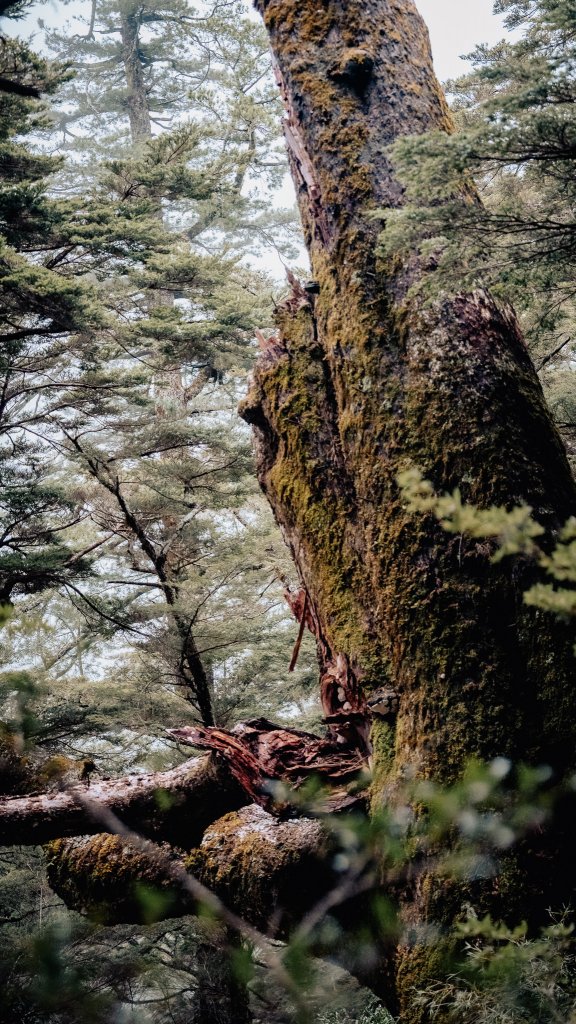 南橫百岳—庫哈諾辛山_2364668