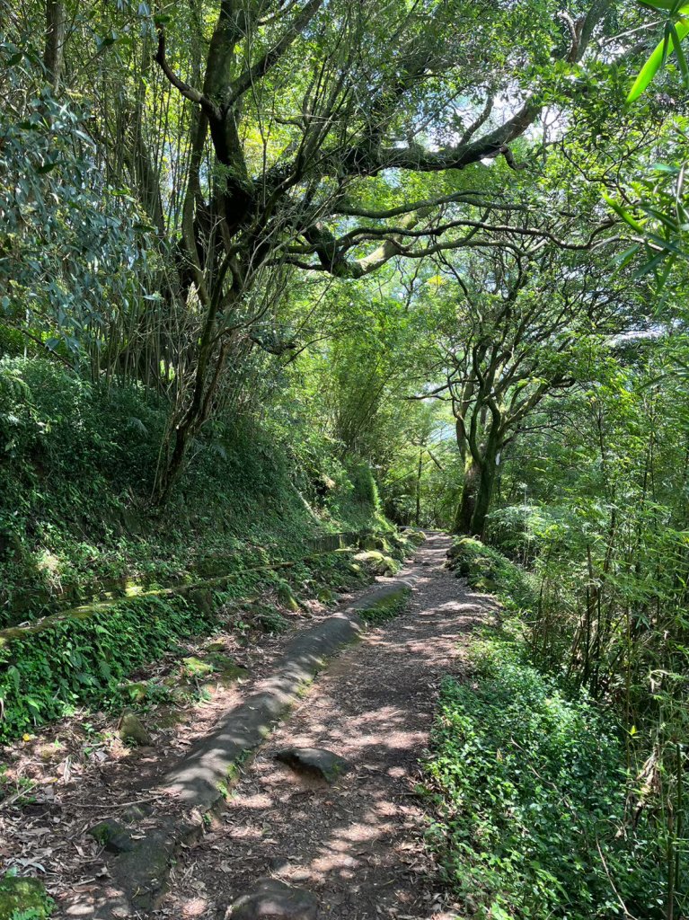 台北 陽明山 絹絲瀑布-擎天崗_2722167