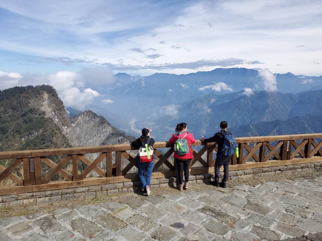 阿里山 水山巨木步道_1741734