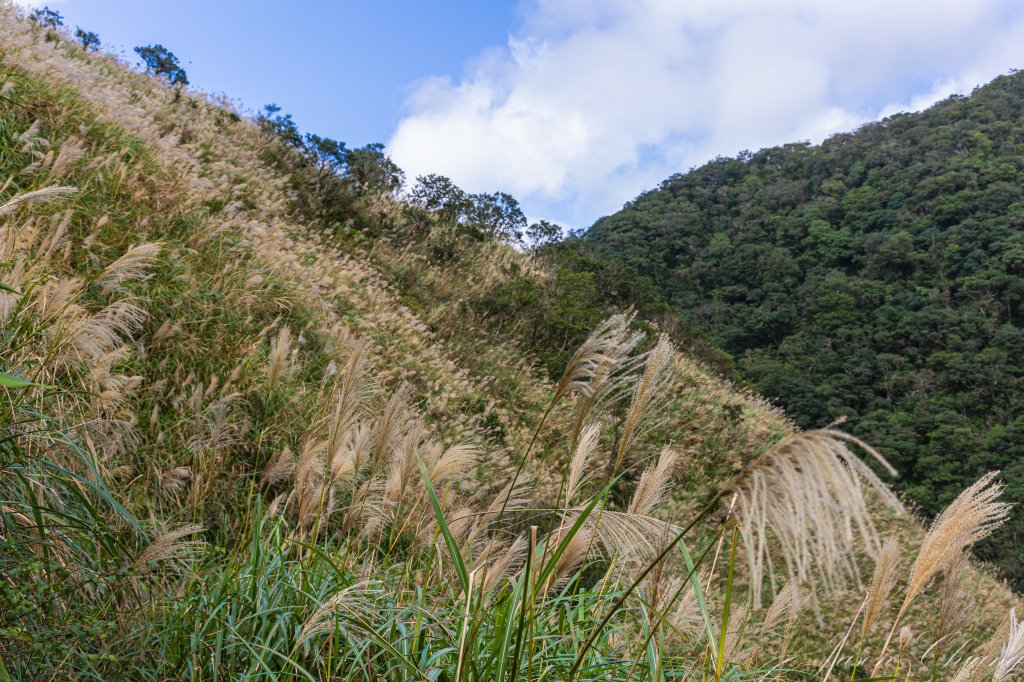 桶後越嶺_2950120