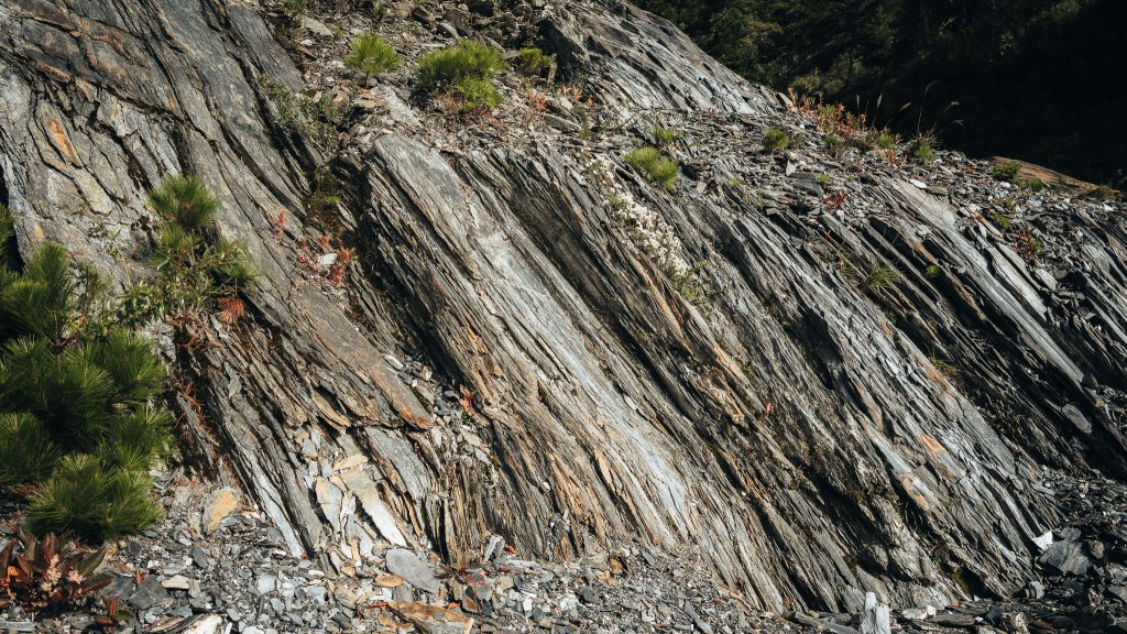 南橫百岳—關山嶺山_2383863