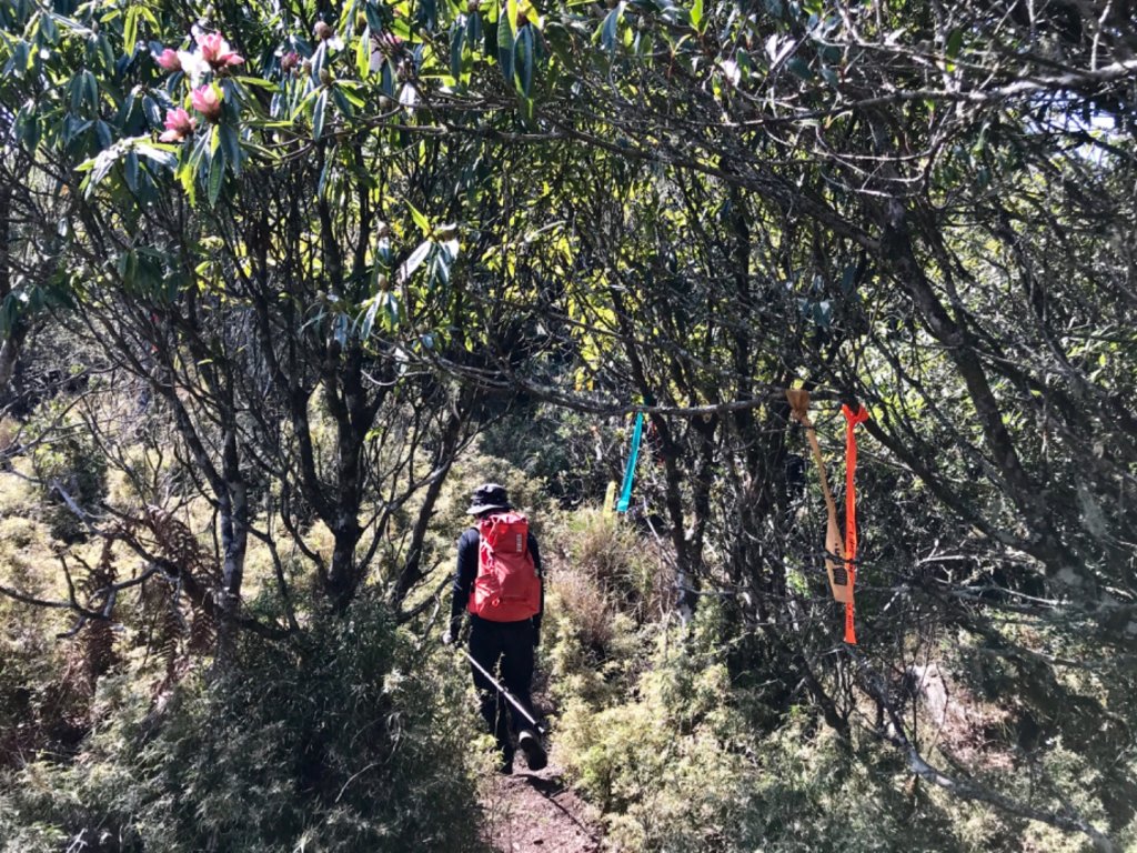 石山 石山引水道_551393