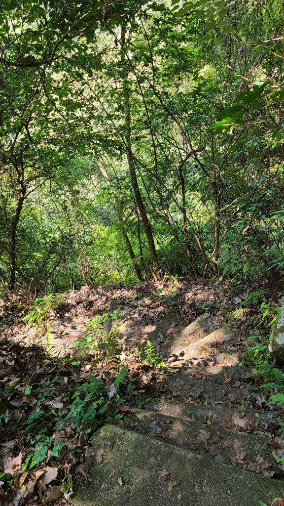 2022_0228巴拉卡到天母_1622141