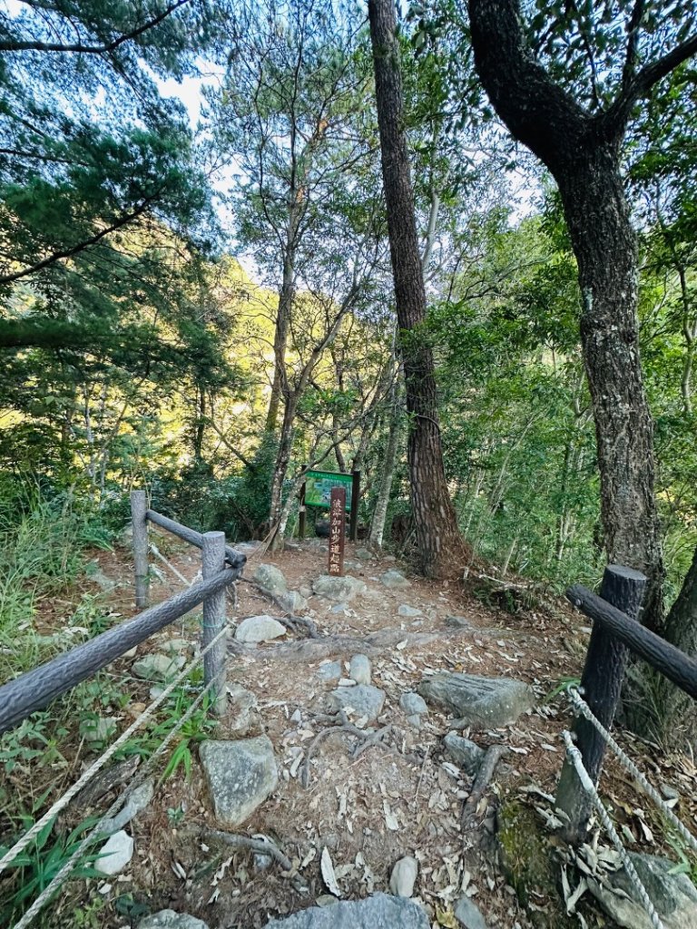 波津加山_2845977