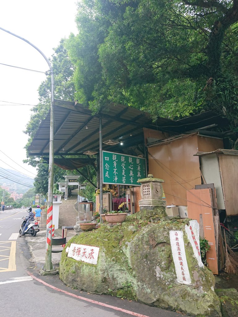 火焰山之桐花大爆發_2483339