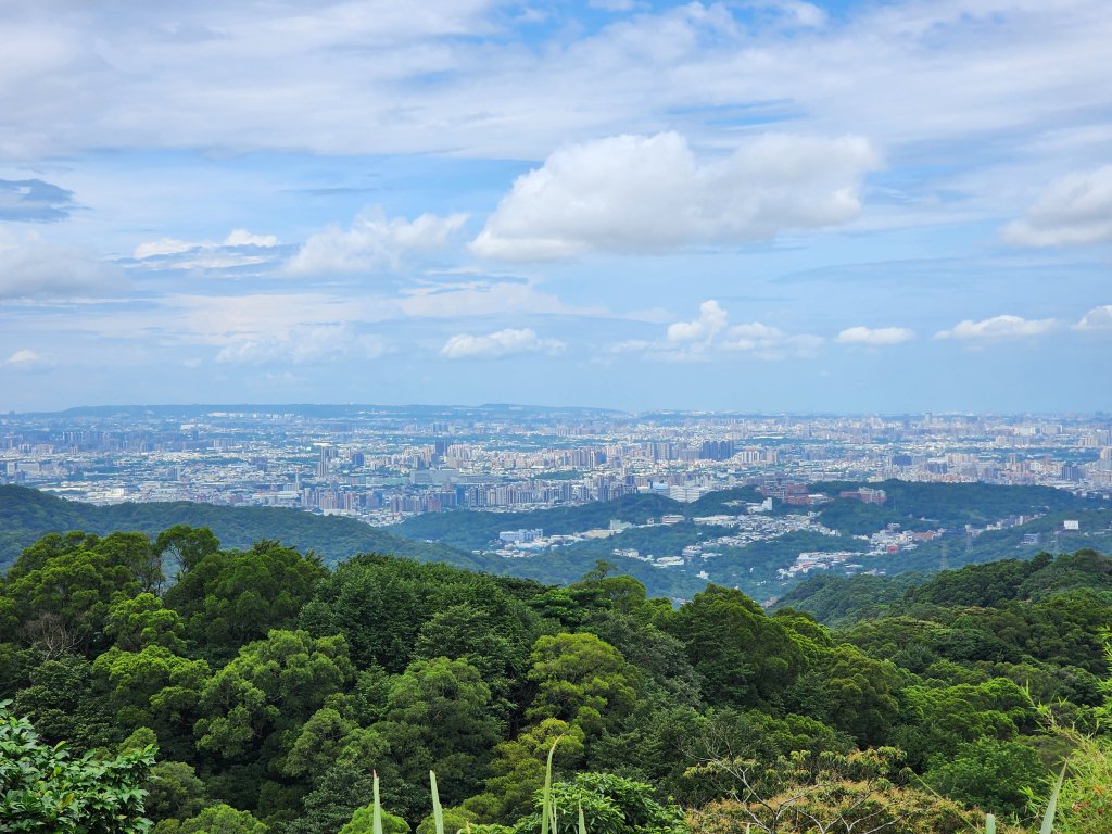 小百岳No.15⛰大棟山(龜崙山)_2849769