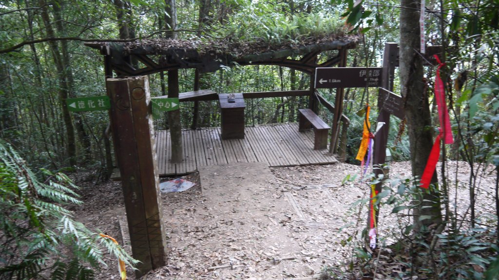 水社大山登山健行趣(中級山)_1511017